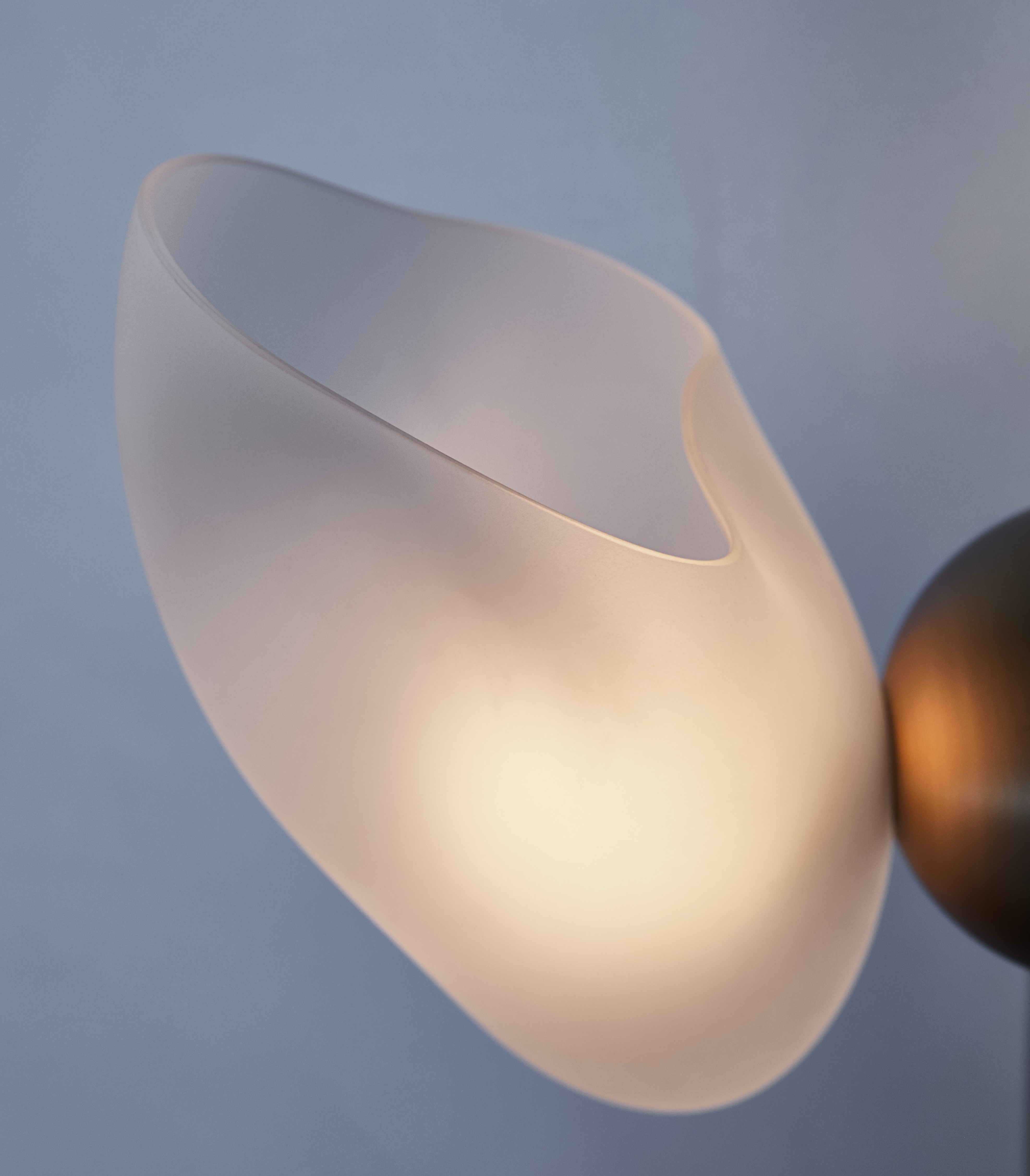 MOON ORCHID SCONCE par John pomp