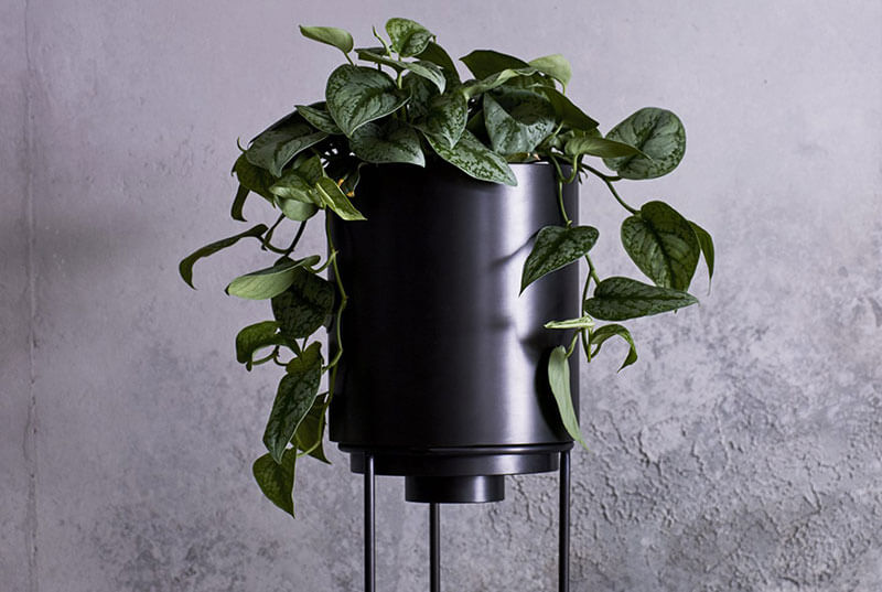 LAYERED PLANTERS par Anna Karlin